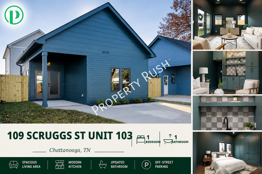 Chattanooga Condo: 109 Scruggs St.